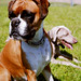 Etta Summers Photo 7