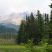 Helen Marsh Photo 31