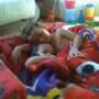 Maria Hinton Photo 19
