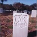Ray Frederick Photo 12