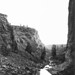 William Crook Photo 19
