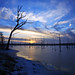 Lawrence Wood Photo 12