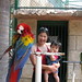 Christopher Parrot Photo 8
