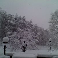 Theresa Funk Photo 26