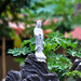 Cheng Shi Photo 32