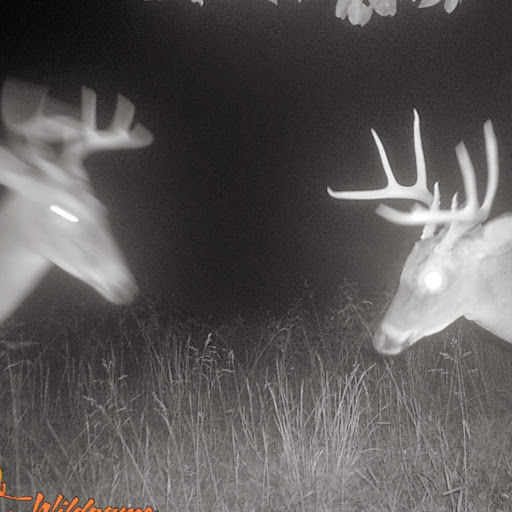 Richard Hatcher Photo 18