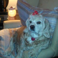 Debbie Greene Photo 9