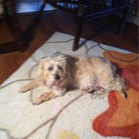 Cheryl Nolen Photo 10