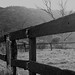 Terry Hill Photo 22