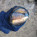 Richard Stoker Photo 24
