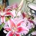 Lee Waring Photo 15