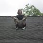 Steven Goetz Photo 11