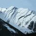 Douglas Howard Photo 41