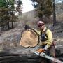 Richard Estes Photo 25