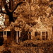 Angela Pickens Photo 16