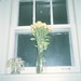Allison Cope Photo 20