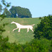Christopher Wiltshire Photo 14
