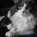 Michael Smothers Photo 17