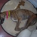 Laverne Foster Photo 18