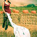 Amanda Poole Photo 15