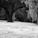 Jan Towne Photo 12