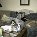 Sean Henry Photo 31