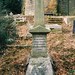 Alice Workman Photo 30