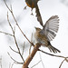 Robin Angers Photo 7