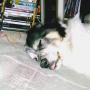 Teresa Becker Photo 24