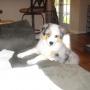 Renee Sharpe Photo 17