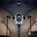 Stephen Madison Photo 15