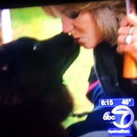 Cyndi Lyons Photo 6