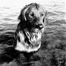 Debra Marlin Photo 11