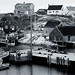 Peggy Black Photo 14