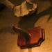 Mary Horn Photo 32