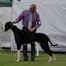 Brian Birt Photo 23