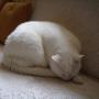 Mary Pardo Photo 28