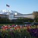 Lee Smoot Photo 20