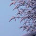 Dawn Collier Photo 31