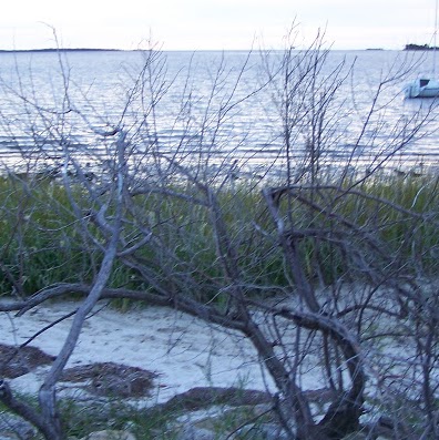 Gail Evans Photo 18