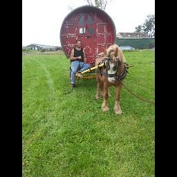 Glen Marshall Photo 10