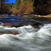 Mark Polk Photo 16