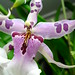 Ruth Carpenter Photo 35