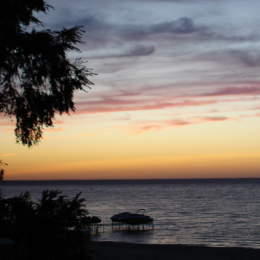 Paula Schultz Photo 49