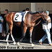 Andrew Matz Photo 10