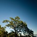 Garry Groves Photo 10