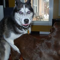 Raymond Coffman Photo 6