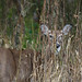 Bobby Doe Photo 6