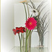 Rebeca Flores Photo 22