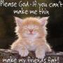 Ann Garrison Photo 21